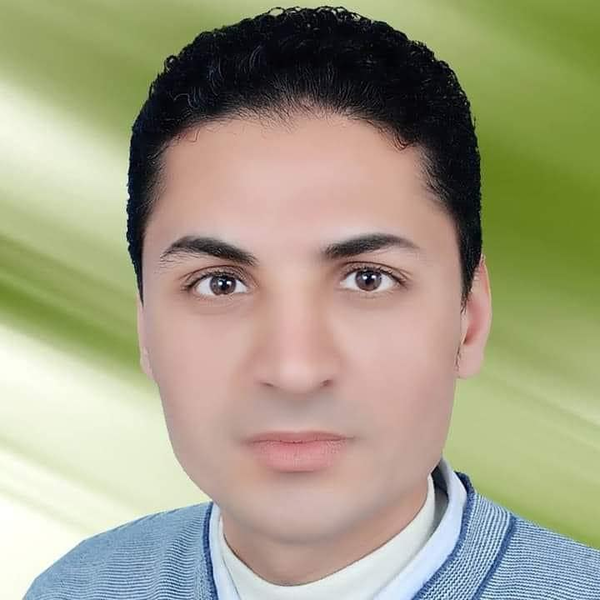 أ. محمود سيد